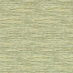 Color – Palm