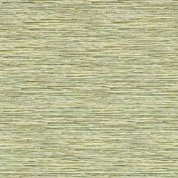 Color – Palm