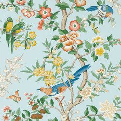 Color – Dawn Blue/Persimmon