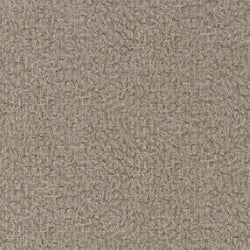 Color – Grey Pearl