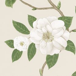 Color – Ivory/Cream