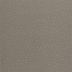 Color – Gobi