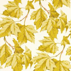 Color – Citrine