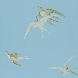 Color – Wedgwood