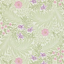 Color – Olive/Lilac