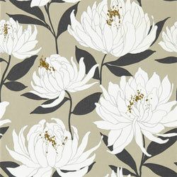 Color – Platinum/Ebony