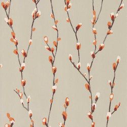 Color – Tangerine/Gilver