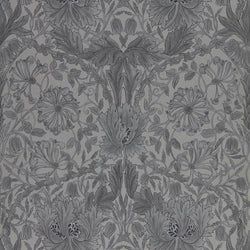 Color – Black Ink