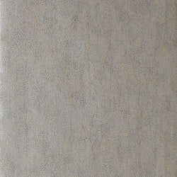 Color – Platinum