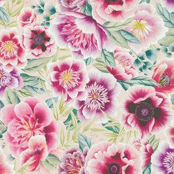 Color – Powder/Peony/Magenta