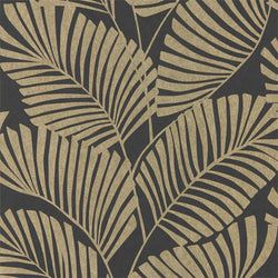 Color – Ebony