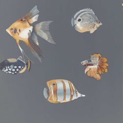 Color – Amber/Slate
