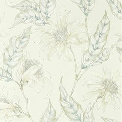 Color – Pearl