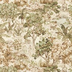 Color – Lichen