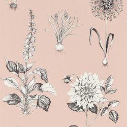 Color – Blush