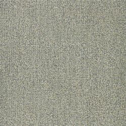 Color – Fossil
