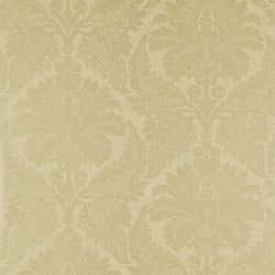 Color – Champagne