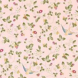 Color – Blush