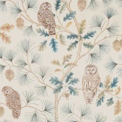 Color – Teal