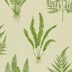 Color – Green