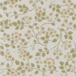 Color – Lichen