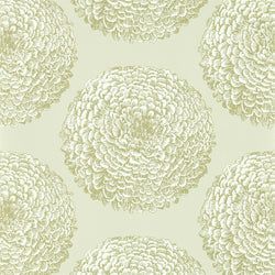 Color – Pearl