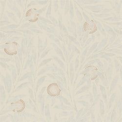 Color – Dove