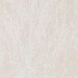 Color – White/Parchment