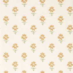 Color – Honeycombe