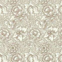 Color – Cream/Chocolate