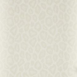 Color – Ivory