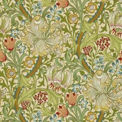 Color – Pale Biscuit