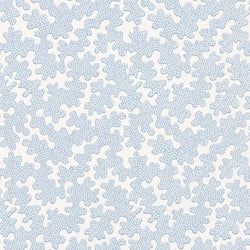 Color – Awakening/Cornflower