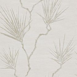 Color – Parchment