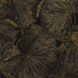 Color – Vine Black