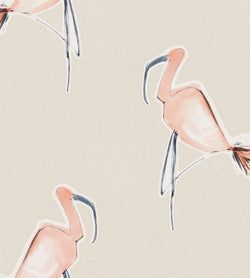 Color – Peach