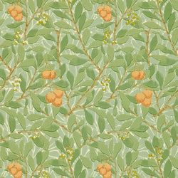 Color – Green/Terracotta