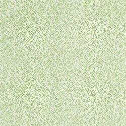 Color – Leaf Green
