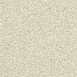 Color – Pale Silver
