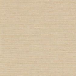Color – Biscuit