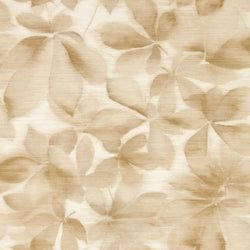Color – Golden Light/Parchment