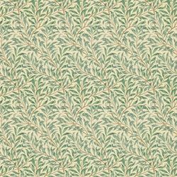 Color – Privet