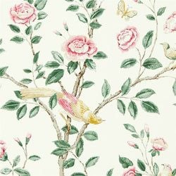 Color – Rose/Cream