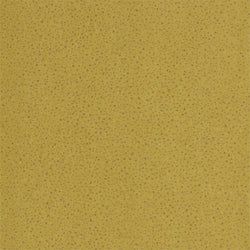 Color – Citrus