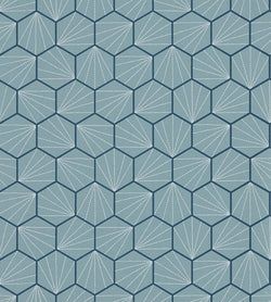 Color – Coast