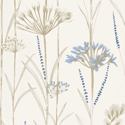 Color – Chalk/Wedgwood/Gold