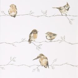 Color – Neutral/Chalk