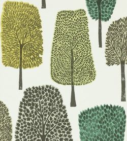 Color – Slate / Apple / Ivy