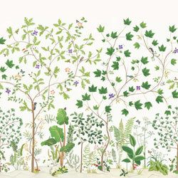 Color – Botanical Green