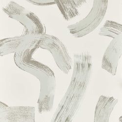 Color – Dove
